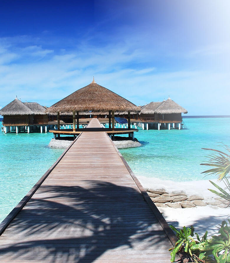 Get to know our hotel