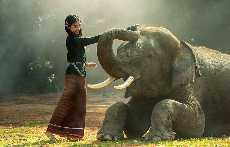 See available attractions